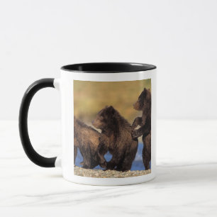 brown bear, Ursus arctos, grizzly bear, Ursus Mug