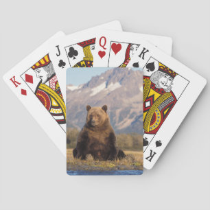 brown bear, Ursus arctos, grizzly bear, Ursus Playing Cards