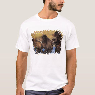 brown bear, Ursus arctos, grizzly bear, Ursus T-Shirt