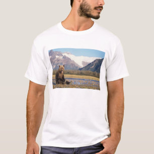 brown bear, Ursus arctos, grizzly bear, Ursus T-Shirt