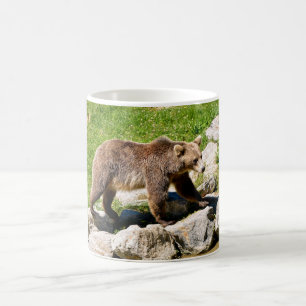 Brown bear (Ursus arctos) seen from profile Coffee Mug