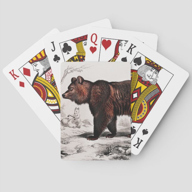 Brown Bear vintage illustrated Playing Cards (Back)
