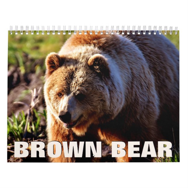 Brown Bear Wall Calendar (Cover)
