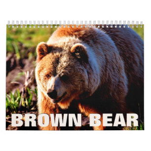 Brown Bear Wall Calendar