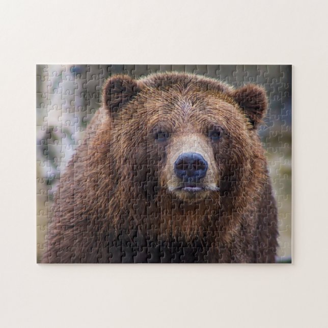 Brown Bear Wild Grizzly Forest Wood Nature Scenery Jigsaw Puzzle (Horizontal)