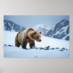 Brown Bear Winter Scenery Poster