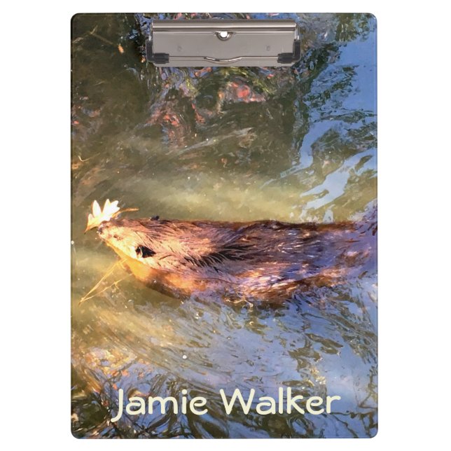 Brown Beaver Swimming Clipboard (Front)
