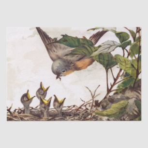 Brown Bird and Nest Decoupage Set Robin 4 of 4 Tissue Paper
