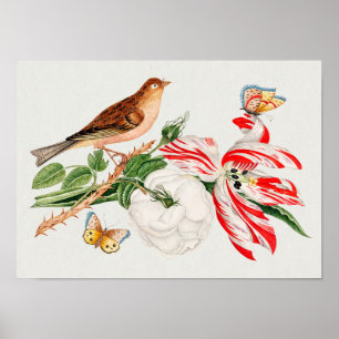 Brown bird on a branch poster