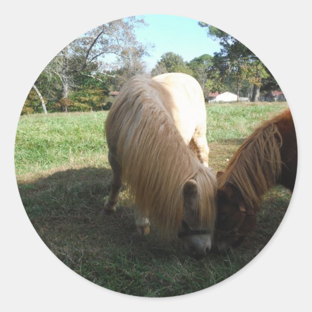 Brown Blonde," Miniature Horses"Two Little Ponies Classic Round Sticker (Front)
