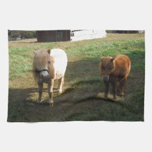 Brown Blonde, Two Miniature Horses, "Little Pony " Tea Towel
