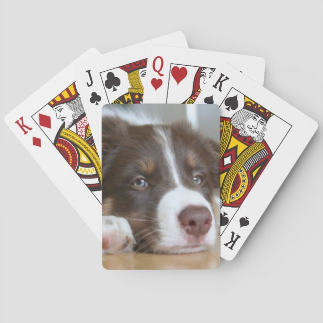 Brown Border Collie Dog Playing Cards (Back)