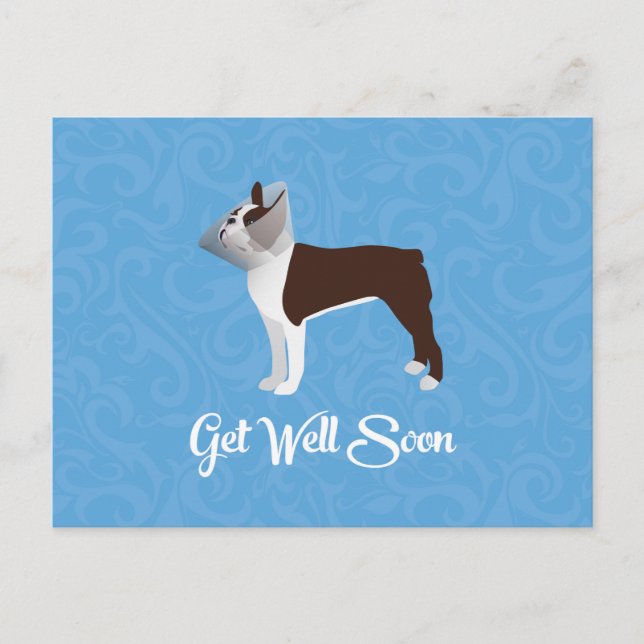 Brown Boston Terrier Get Well Soon Design Postcard (Front)