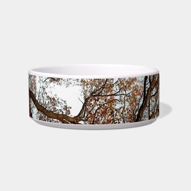 Brown branches and leaves bowl (Front)