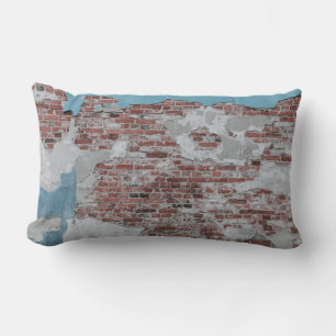 Brown brick wall lumbar cushion
