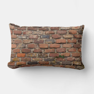 Brown brick wall lumbar cushion