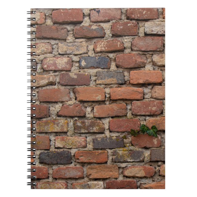 Brown brick wall notebook (Front)