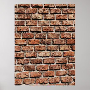 Brown brick wall on daylight poster
