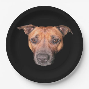 Brown Brindle Staffordshire Bull Terrier Face, Paper Plate