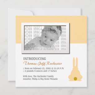 Brown Bunny Birth Announcement