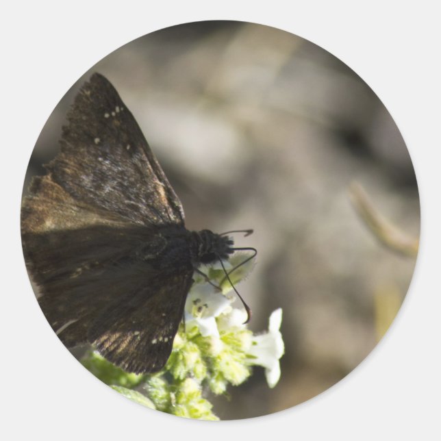 Brown Butterfly Classic Round Sticker (Front)