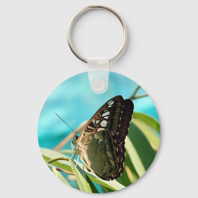 Brown Butterfly Closed Wings Key Ring (Front)