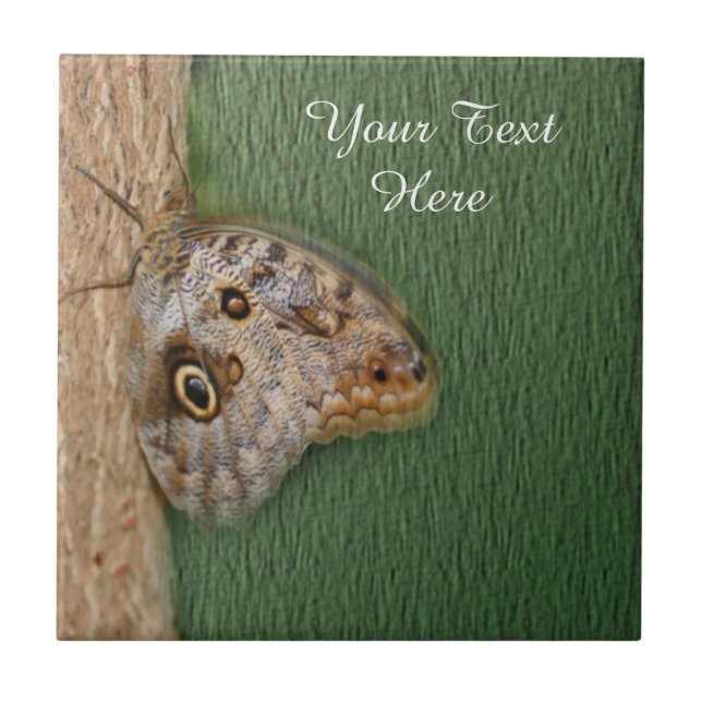 Brown Butterfly Nature Tile (Front)