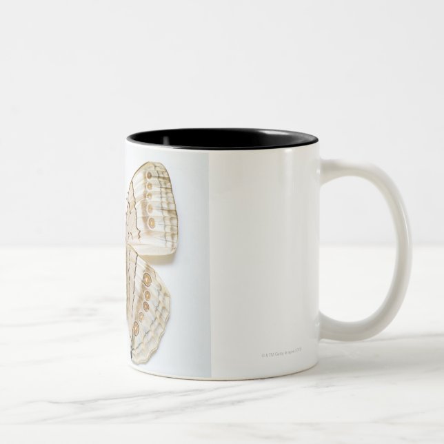Brown Butterfly, overhead view Two-Tone Coffee Mug (Right)