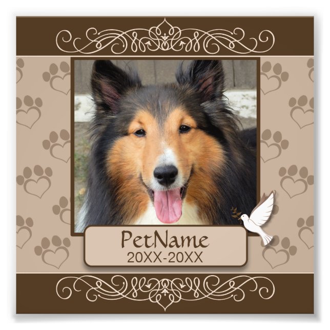 Brown Calligraph Swirls Custom Pet Sympathy Photo Print (Front)