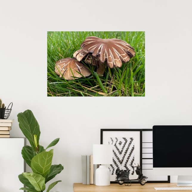 Brown Cap Mushrooms Poster (Home Office)