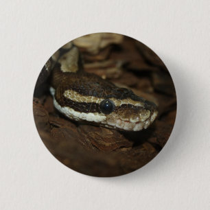 Brown Carpet Python 6 Cm Round Badge