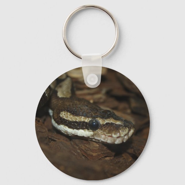 Brown Carpet Python Key Ring (Front)