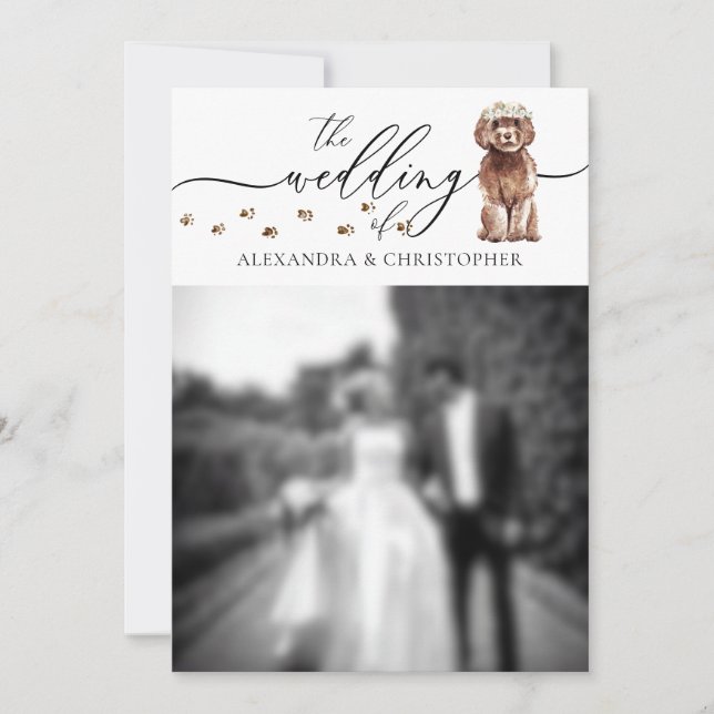 Brown Cavapoo puppy Wedding Photo Invitation (Front)
