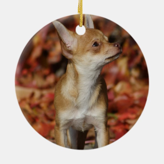 Brown Chihuahua Puppy Ceramic Ornament (Back)