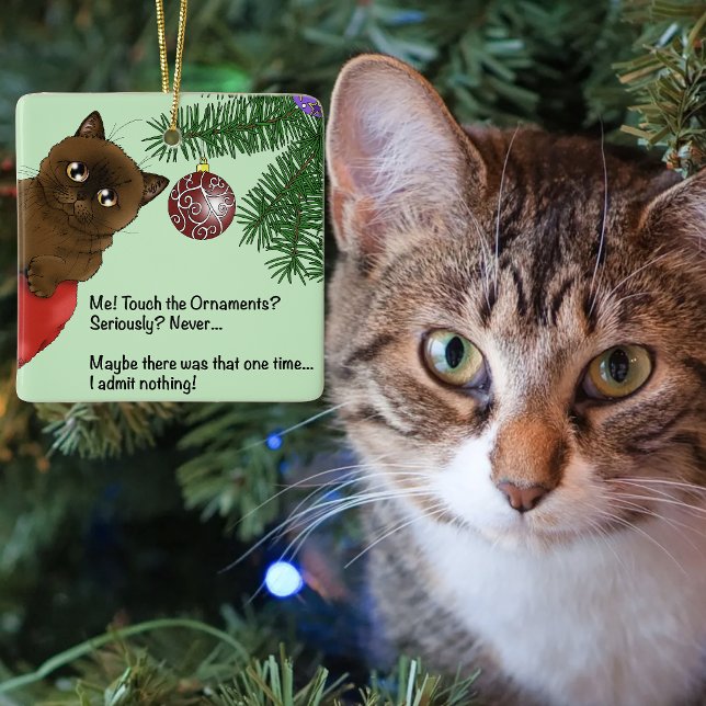 Brown Christmas Ornament Cat (Creator Uploaded)