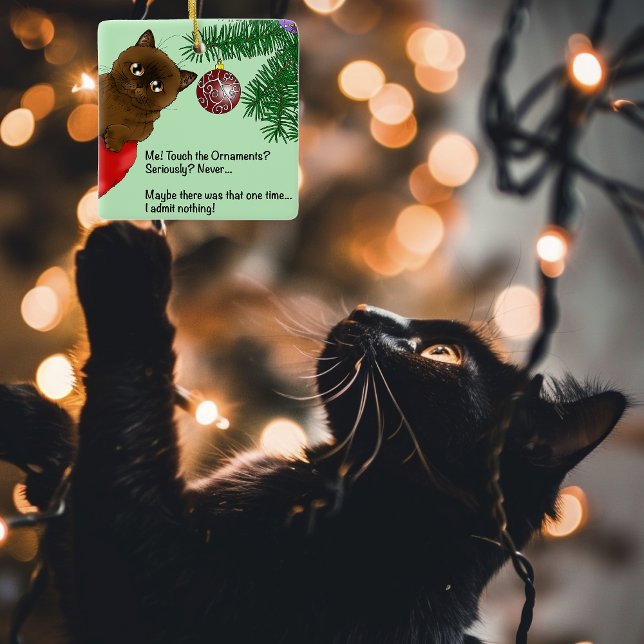 Brown Christmas Ornament Funny Cat (Creator Uploaded)