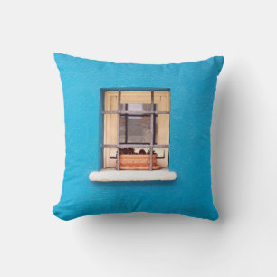 BROWN CLAY POT ON WINDOW CUSHION
