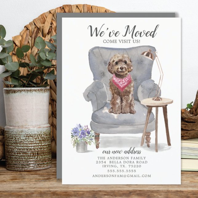 Brown Cockapoo Dog | Moving Announcement (Creator Uploaded)