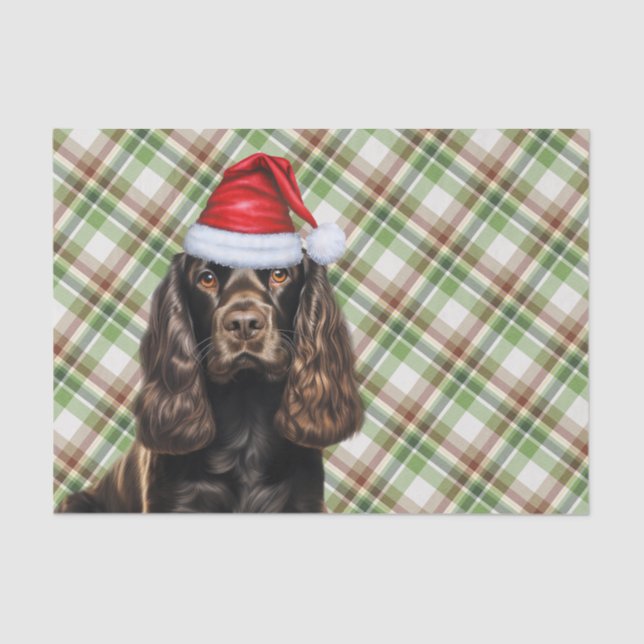 Brown Cocker Spaniel Dog with Plaid Christmas Tissue Paper (Front)