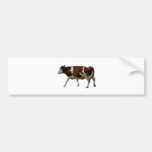 Brown Cow Bumper Sticker