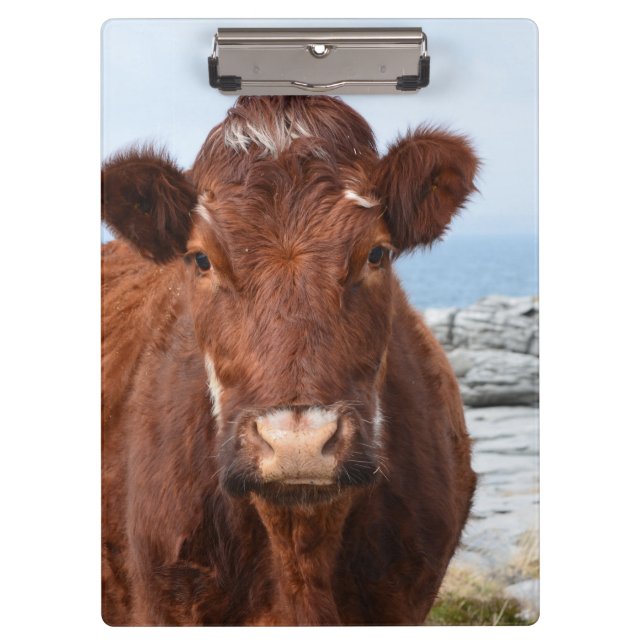 Brown Cow Clipboard (Front)