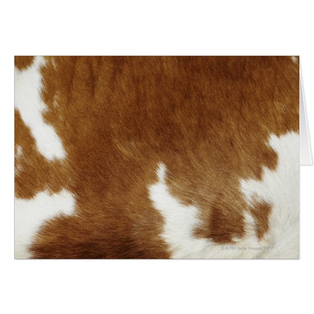 Brown Cowhide Print (Front Horizontal)