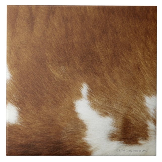 Brown Cowhide Print Ceramic Tile (Front)