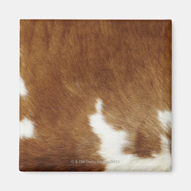 Brown Cowhide Print Magnet (Front)