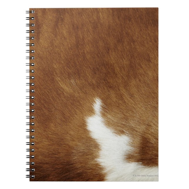 Brown Cowhide Print Notebook (Front)