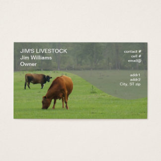 Cow Business Cards | Zazzle.com.au