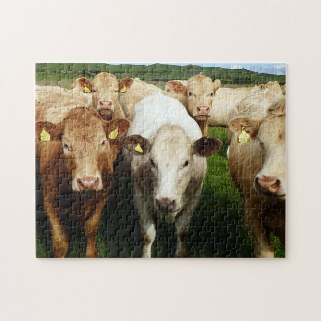 Brown cows Puzzle (Horizontal)