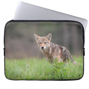 Brown Coyote, Canadian Wildlife Photography Laptop Sleeve