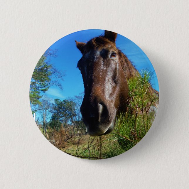 Brown & Cream Coloured Horse blue sky 6 Cm Round Badge (Front)