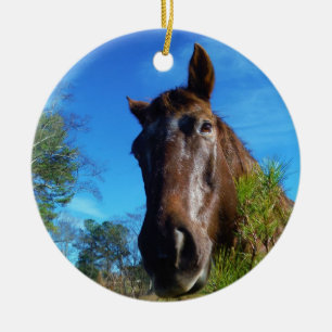 Brown & Cream Coloured Horse blue sky Ceramic Tree Decoration